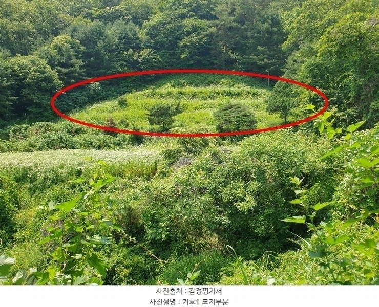 2024타경35642 경기도 양평군 양서면 도곡리 산54-6 임야 경매 이미지