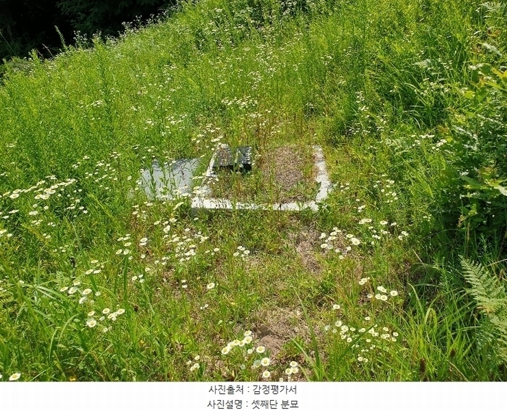 2024타경35642 경기도 양평군 양서면 도곡리 산54-6 임야 경매 이미지