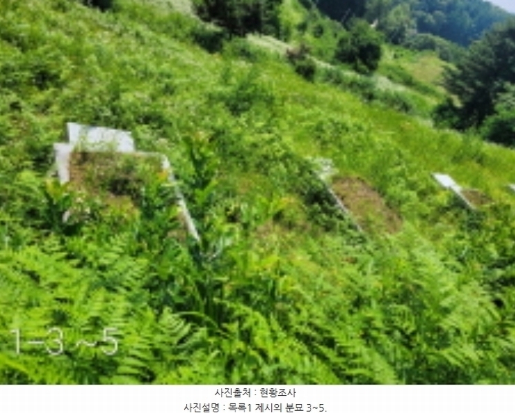 2024타경35642 경기도 양평군 양서면 도곡리 산54-6 임야 경매 이미지