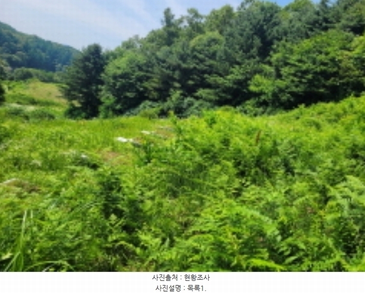 2024타경35642 경기도 양평군 양서면 도곡리 산54-6 임야 경매 이미지
