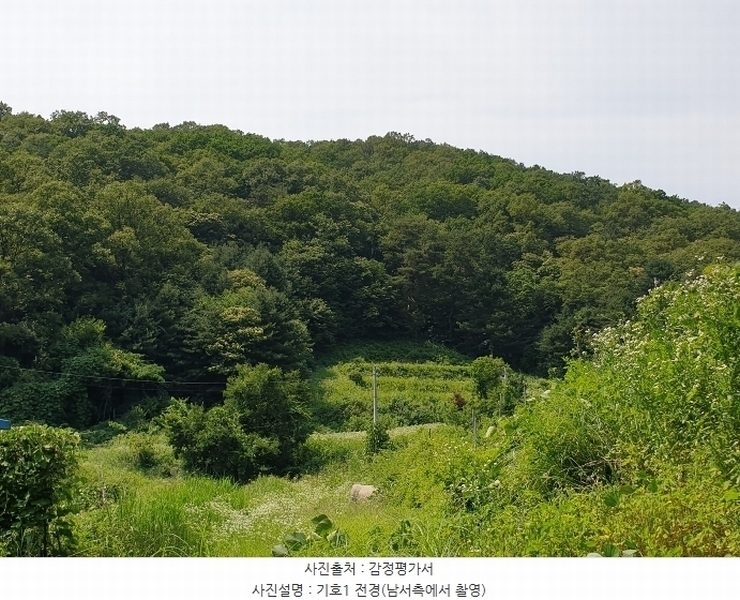 2024타경35642 경기도 양평군 양서면 도곡리 산54-6 임야 경매 이미지