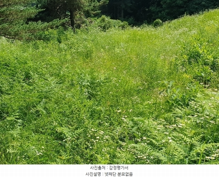 2024타경35642 경기도 양평군 양서면 도곡리 산54-6 임야 경매 이미지