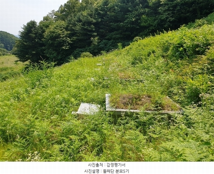 2024타경35642 경기도 양평군 양서면 도곡리 산54-6 임야 경매 이미지