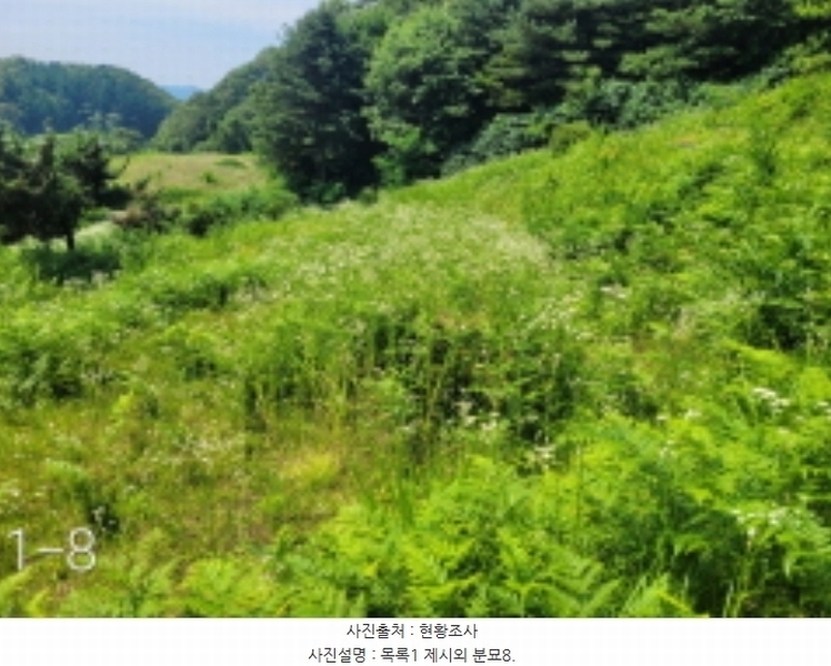 2024타경35642 경기도 양평군 양서면 도곡리 산54-6 임야 경매 이미지