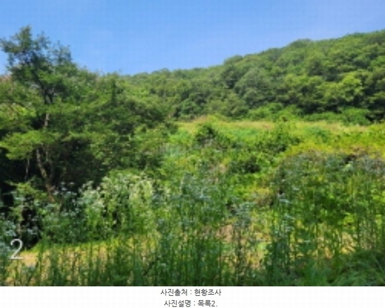 2024타경35642 경기도 양평군 양서면 도곡리 산54-6 임야 경매 이미지