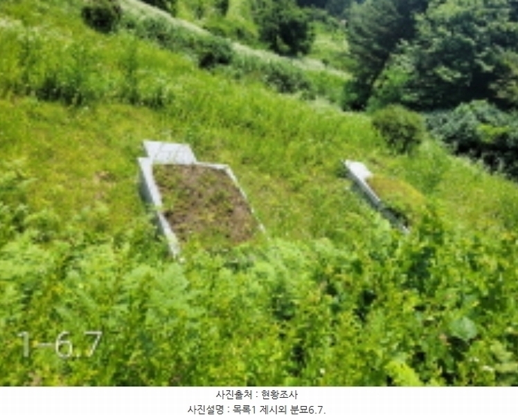 2024타경35642 경기도 양평군 양서면 도곡리 산54-6 임야 경매 이미지