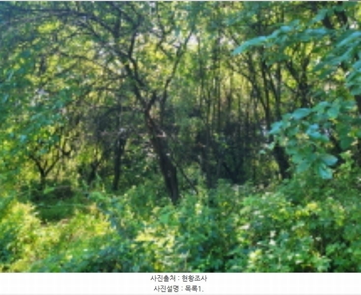 2024타경36058 경기도 이천시 부발읍 산촌리 244-44 임야 경매 이미지