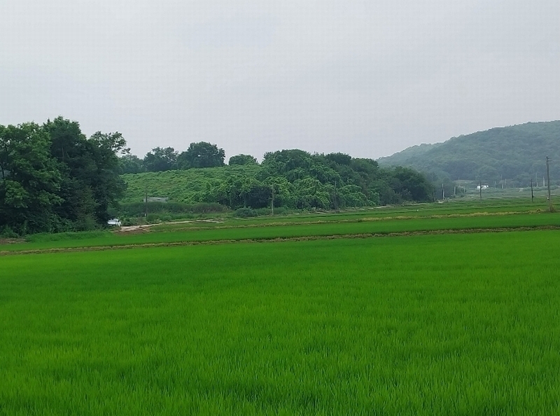 2024타경36058 경기도 이천시 부발읍 산촌리 244-44 임야 경매 이미지