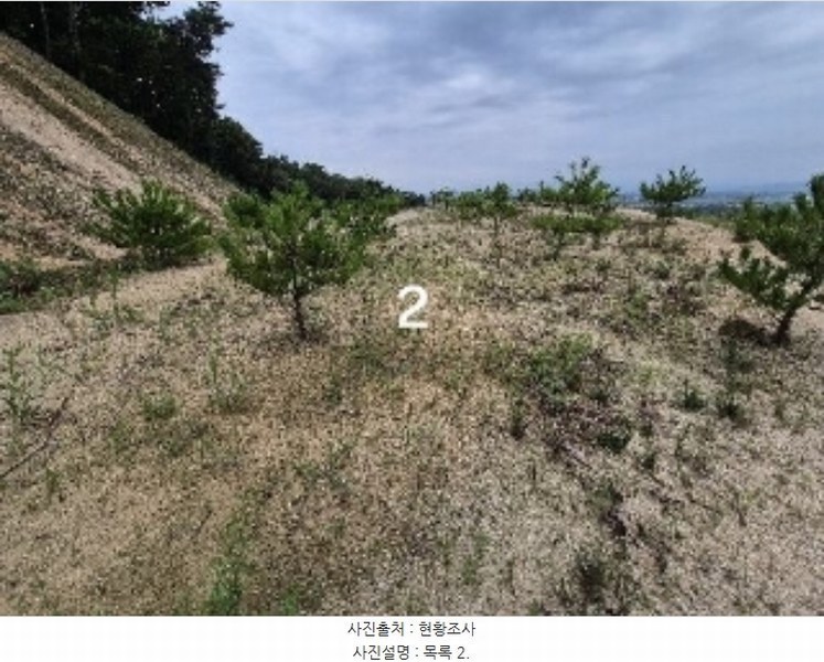 2024타경36164 경기도 여주시 세종대왕면 신지리 108-11 임야 경매 이미지
