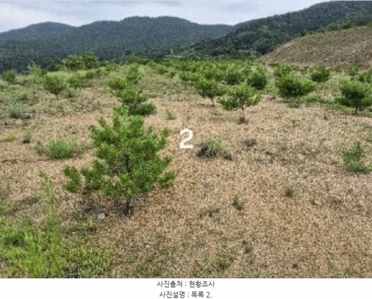 2024타경36164 경기도 여주시 세종대왕면 신지리 108-11 임야 경매 이미지