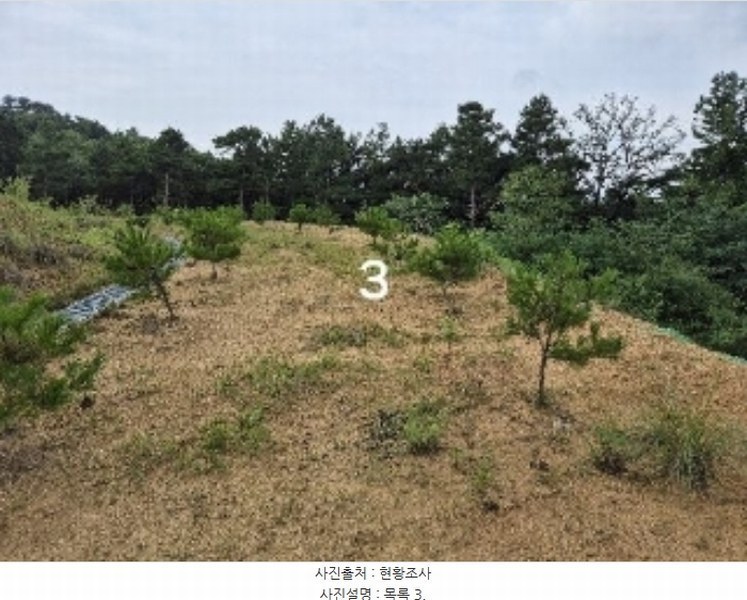 2024타경36164 경기도 여주시 세종대왕면 신지리 108-11 임야 경매 이미지