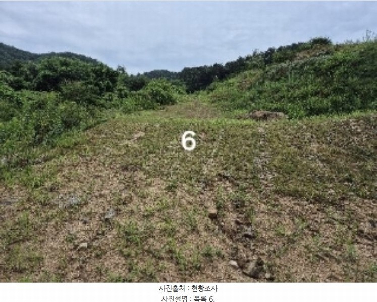 2024타경36164 경기도 여주시 세종대왕면 신지리 108-11 임야 경매 이미지