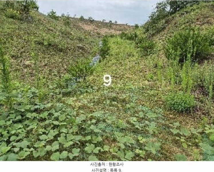 2024타경36164 경기도 여주시 세종대왕면 신지리 108-11 임야 경매 이미지