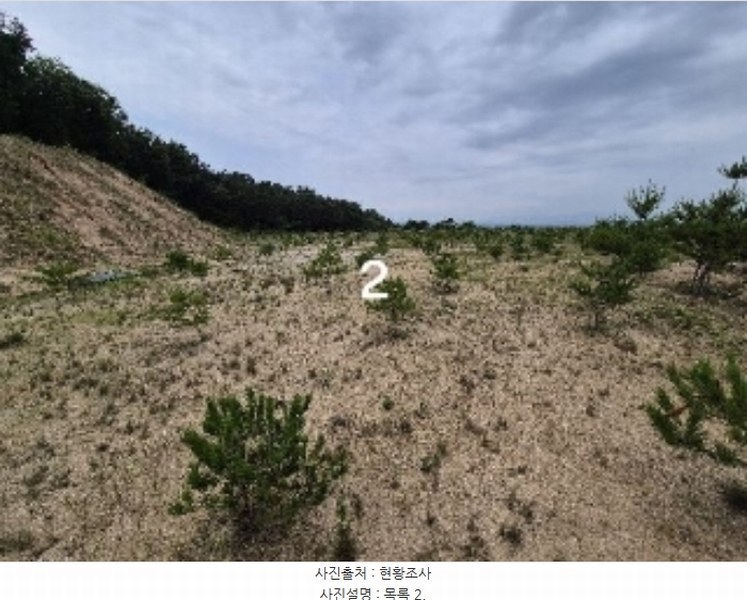 2024타경36164 경기도 여주시 세종대왕면 신지리 108-11 임야 경매 이미지
