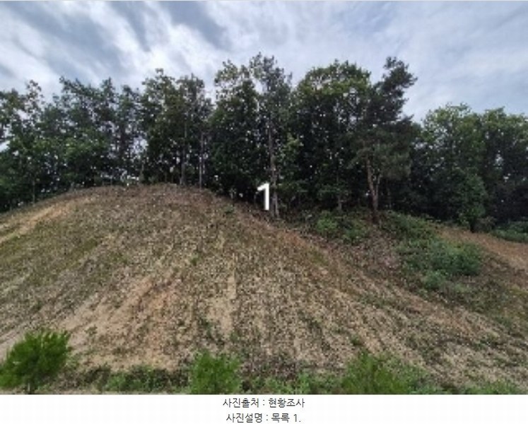 2024타경36164 경기도 여주시 세종대왕면 신지리 108-11 임야 경매 이미지