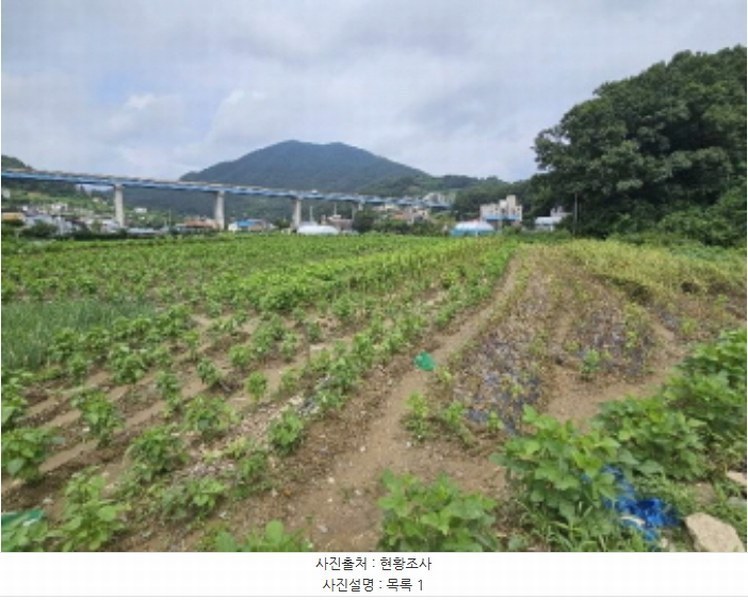 2024타경37181 경기도 양평군 용문면 다문리 603 농지 경매 이미지