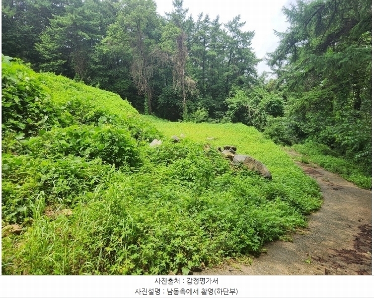 2024타경37242 경기도 양평군 지평면 망미리 171 농지 경매 이미지