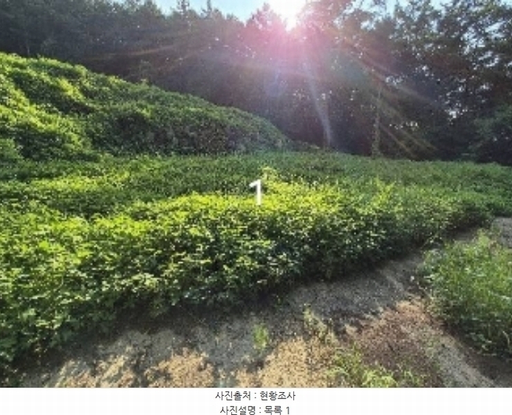 2024타경37242 경기도 양평군 지평면 망미리 171 농지 경매 이미지