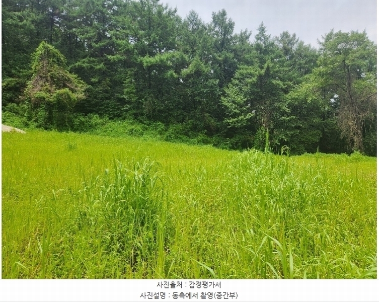 2024타경37242 경기도 양평군 지평면 망미리 171 농지 경매 이미지