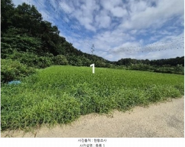 2024타경37563 경기도 여주시 능현동 60-1 농지 경매 이미지