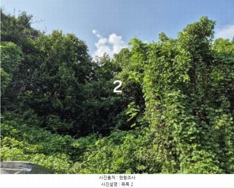 2024타경37754 경기도 양평군 개군면 하자포리 190-10 임야 경매 이미지