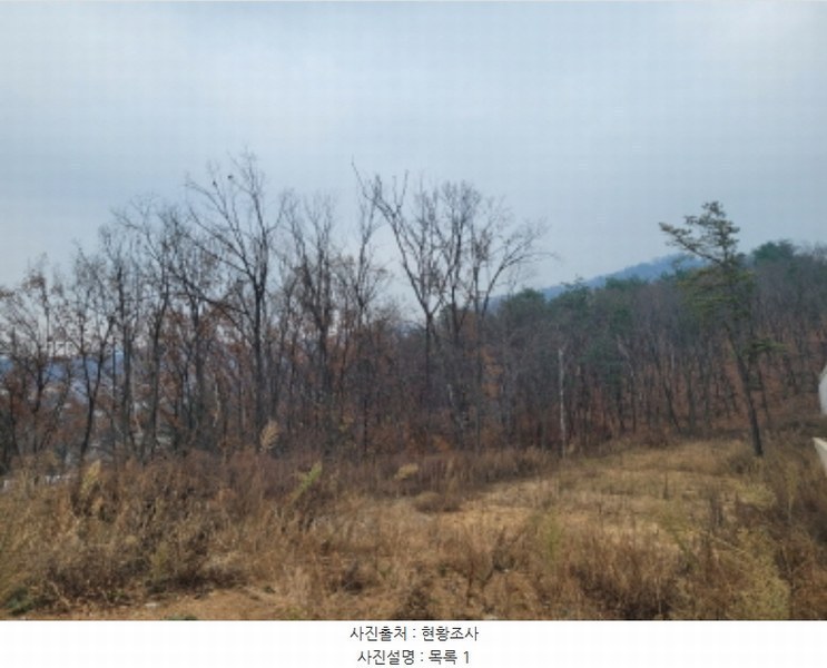 2024타경40743 경기도 양평군 서종면 문호리 산138-11 임야 경매 이미지