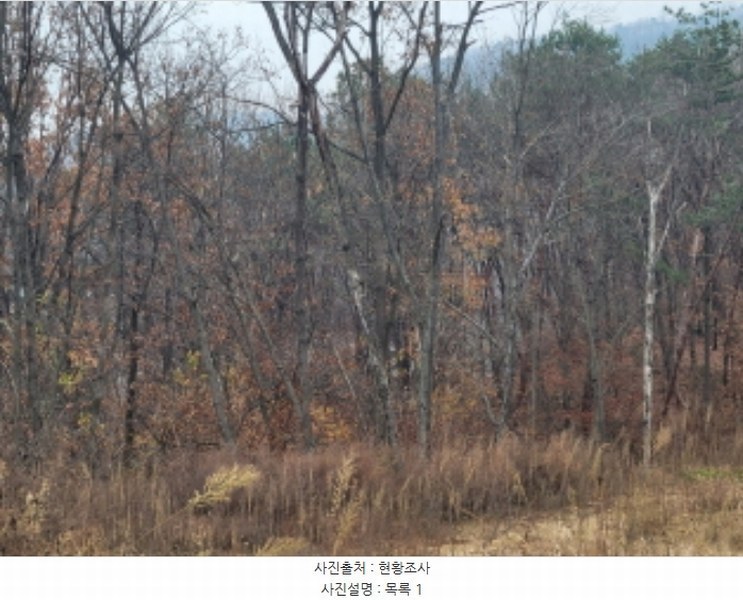 2024타경40743 경기도 양평군 서종면 문호리 산138-11 임야 경매 이미지