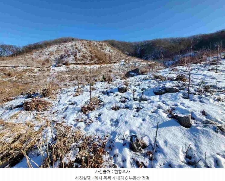 2023타경5859 경기도 양평군 강하면 동오리 산79 임야 경매 이미지