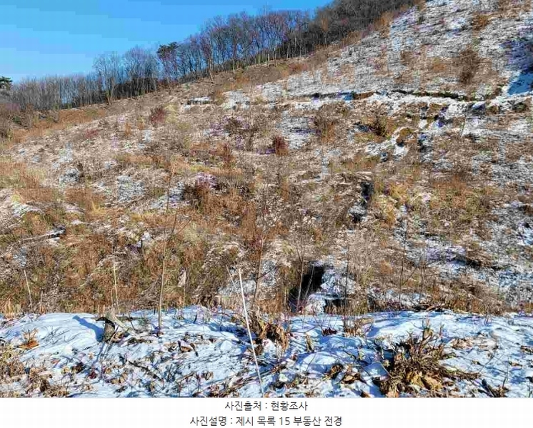 2023타경5859 경기도 양평군 강하면 동오리 산79 임야 경매 이미지