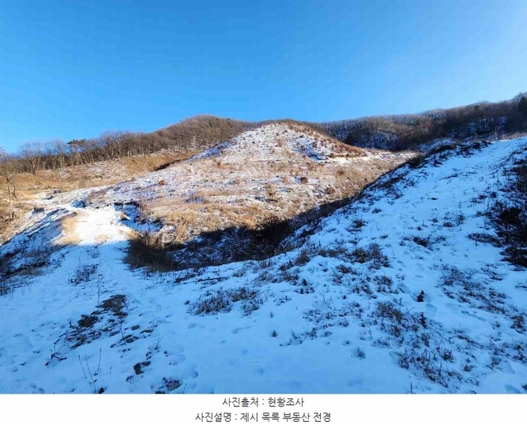 2023타경5859 경기도 양평군 강하면 동오리 산79 임야 경매 이미지