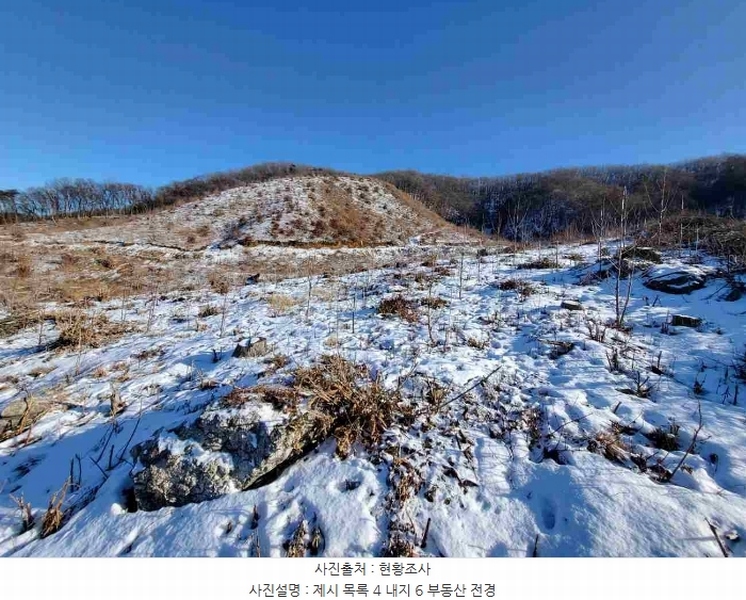 2023타경5859 경기도 양평군 강하면 동오리 산79 임야 경매 이미지
