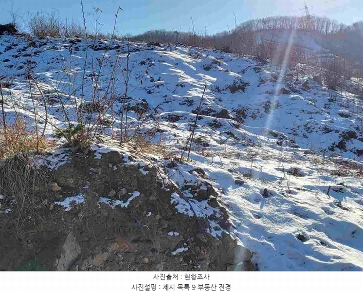 2023타경5859 경기도 양평군 강하면 동오리 산79 임야 경매 이미지