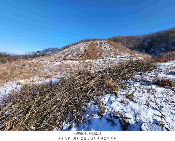 2023타경5859 경기도 양평군 강하면 동오리 산79 임야 경매 이미지