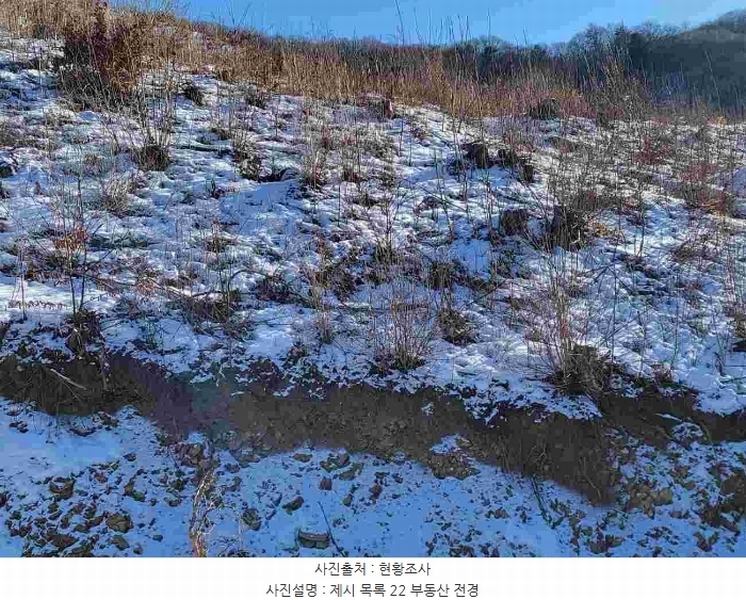 2023타경5859 경기도 양평군 강하면 동오리 산79 임야 경매 이미지