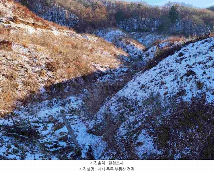 2023타경5859 경기도 양평군 강하면 동오리 산79 임야 경매 이미지