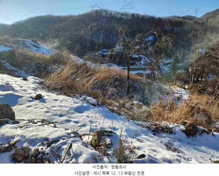2023타경5859 경기도 양평군 강하면 동오리 산79 임야 경매 이미지