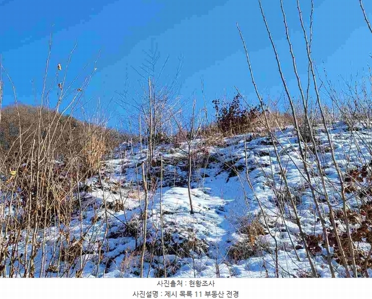 2023타경5859 경기도 양평군 강하면 동오리 산79 임야 경매 이미지