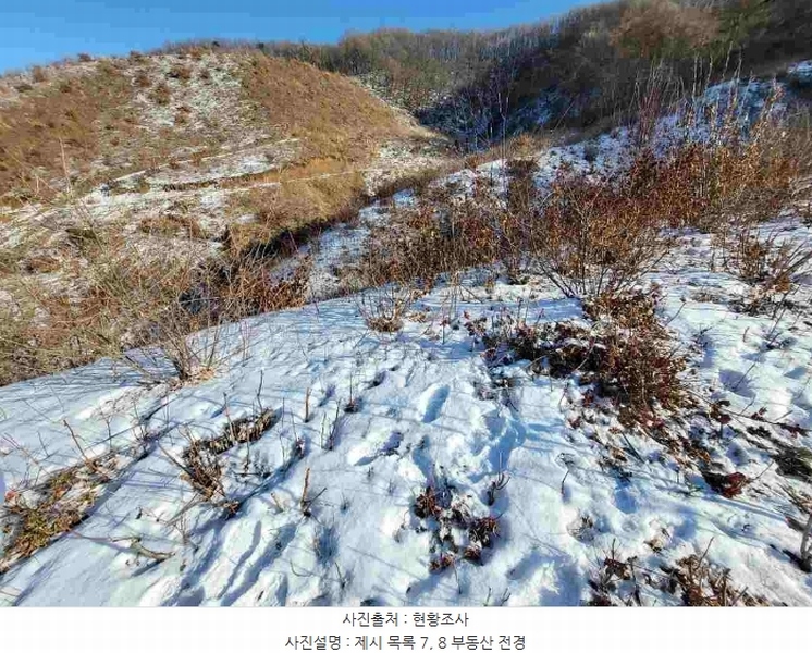 2023타경5859 경기도 양평군 강하면 동오리 산79 임야 경매 이미지