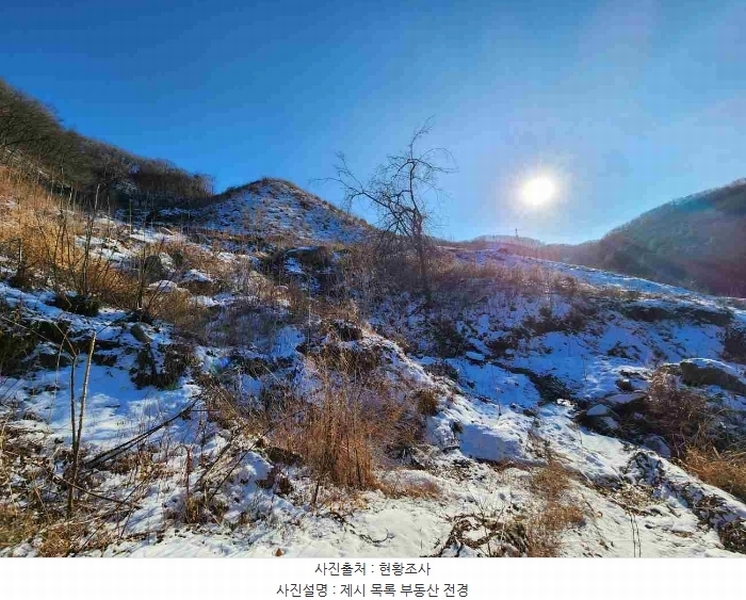 2023타경5859 경기도 양평군 강하면 동오리 산79 임야 경매 이미지