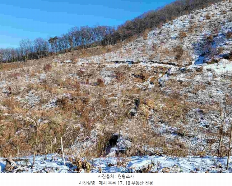 2023타경5859 경기도 양평군 강하면 동오리 산79 임야 경매 이미지