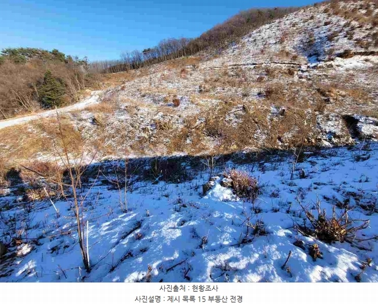 2023타경5859 경기도 양평군 강하면 동오리 산79 임야 경매 이미지