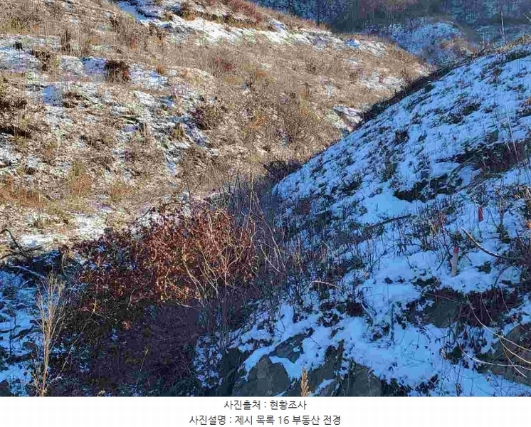2023타경5859 경기도 양평군 강하면 동오리 산79 임야 경매 이미지
