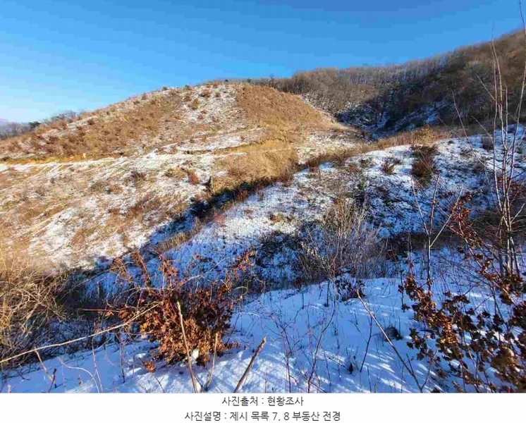 2023타경5859 경기도 양평군 강하면 동오리 산79 임야 경매 이미지