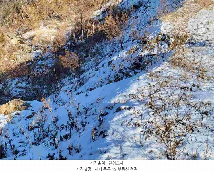 2023타경5859 경기도 양평군 강하면 동오리 산79 임야 경매 이미지