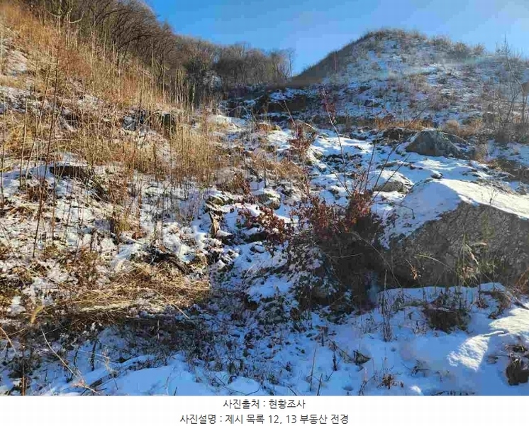 2023타경5859 경기도 양평군 강하면 동오리 산79 임야 경매 이미지
