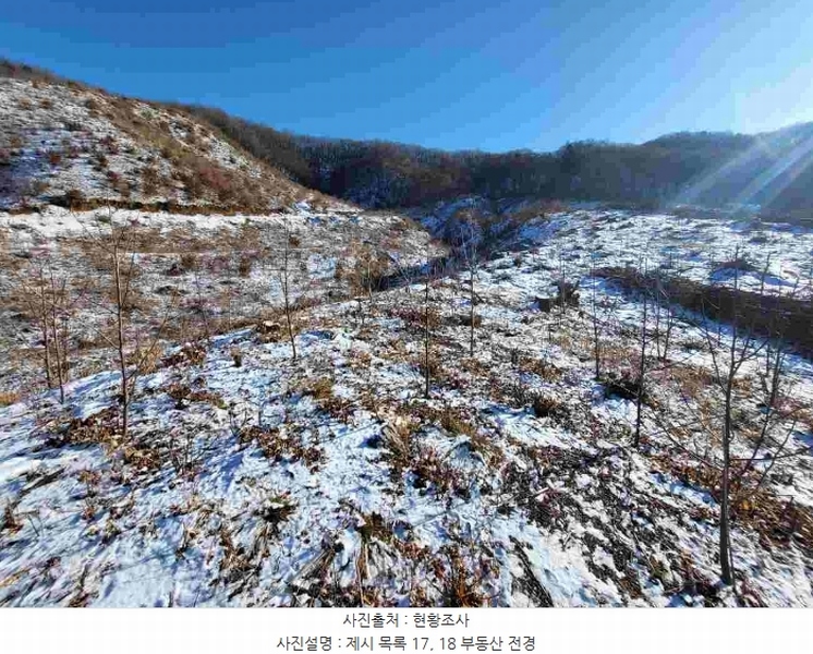 2023타경5859 경기도 양평군 강하면 동오리 산79 임야 경매 이미지