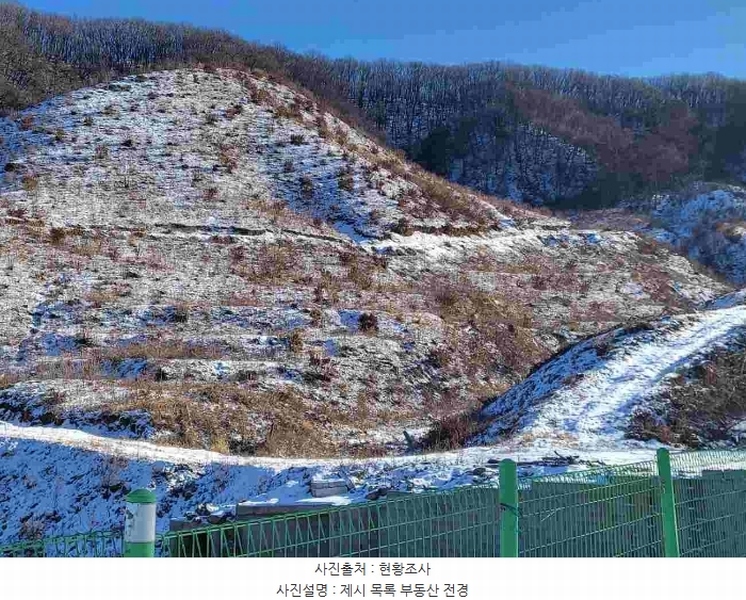 2023타경5859 경기도 양평군 강하면 동오리 산79 임야 경매 이미지