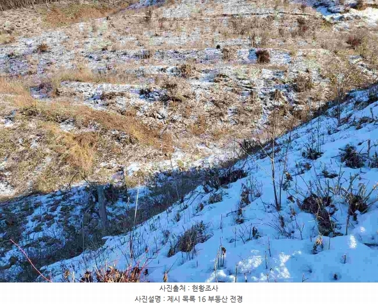 2023타경5859 경기도 양평군 강하면 동오리 산79 임야 경매 이미지