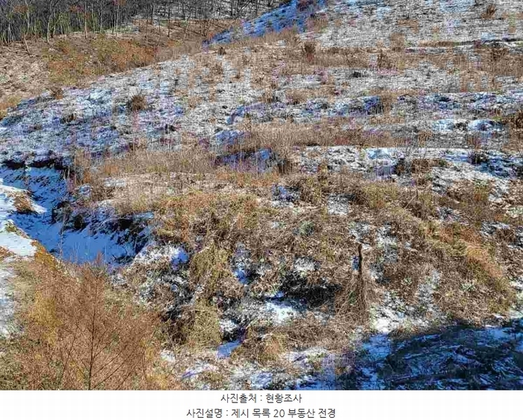 2023타경5859 경기도 양평군 강하면 동오리 산79 임야 경매 이미지