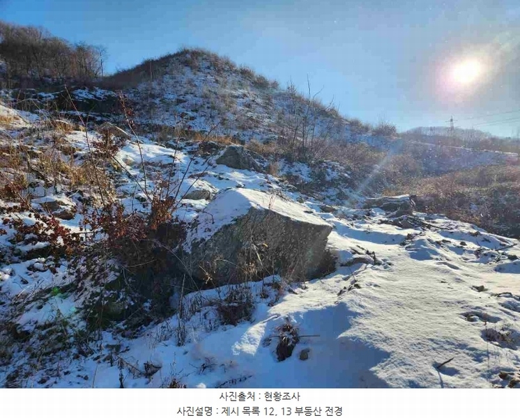 2023타경5859 경기도 양평군 강하면 동오리 산79 임야 경매 이미지